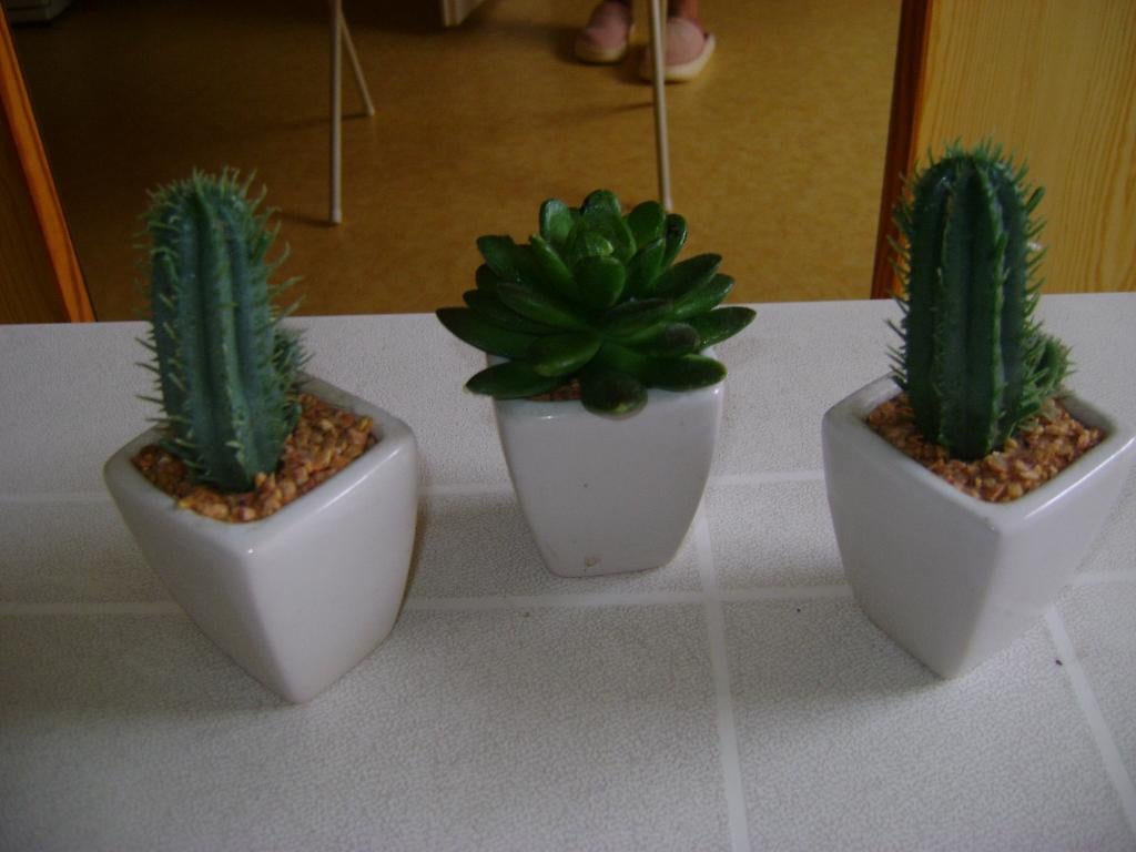 3 kunst cactusjes in wit stenen potjes van 14cm hoog, Binnen, Natuurlijk materiaal, Groen, Kunstplant