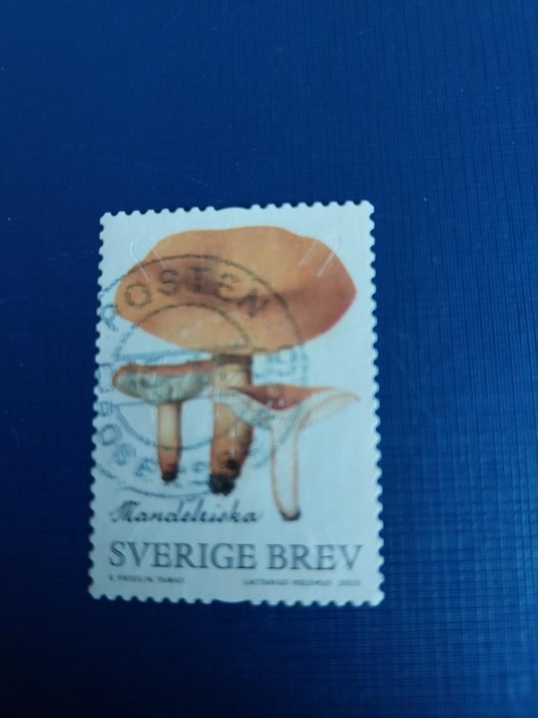 Zweden swam 1, Ophalen of Verzenden, Zweden