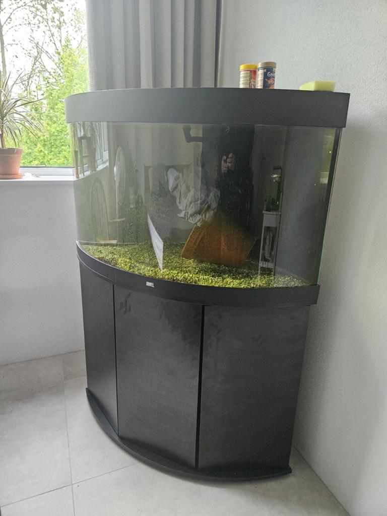 Aquarium juwel 250 liter met zwarte onderkast., Dieren en Toebehoren, Vissen | Aquaria en Toebehoren, Ophalen of Verzenden, Gebruikt