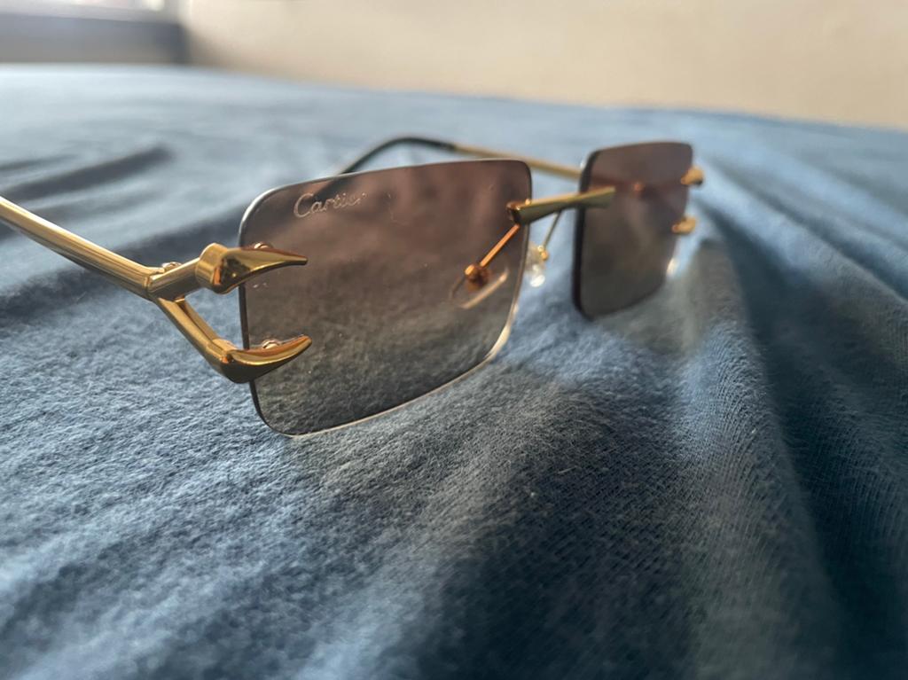 Cartier bril, Zonnebril, Bruin, Zo goed als nieuw, Ophalen
