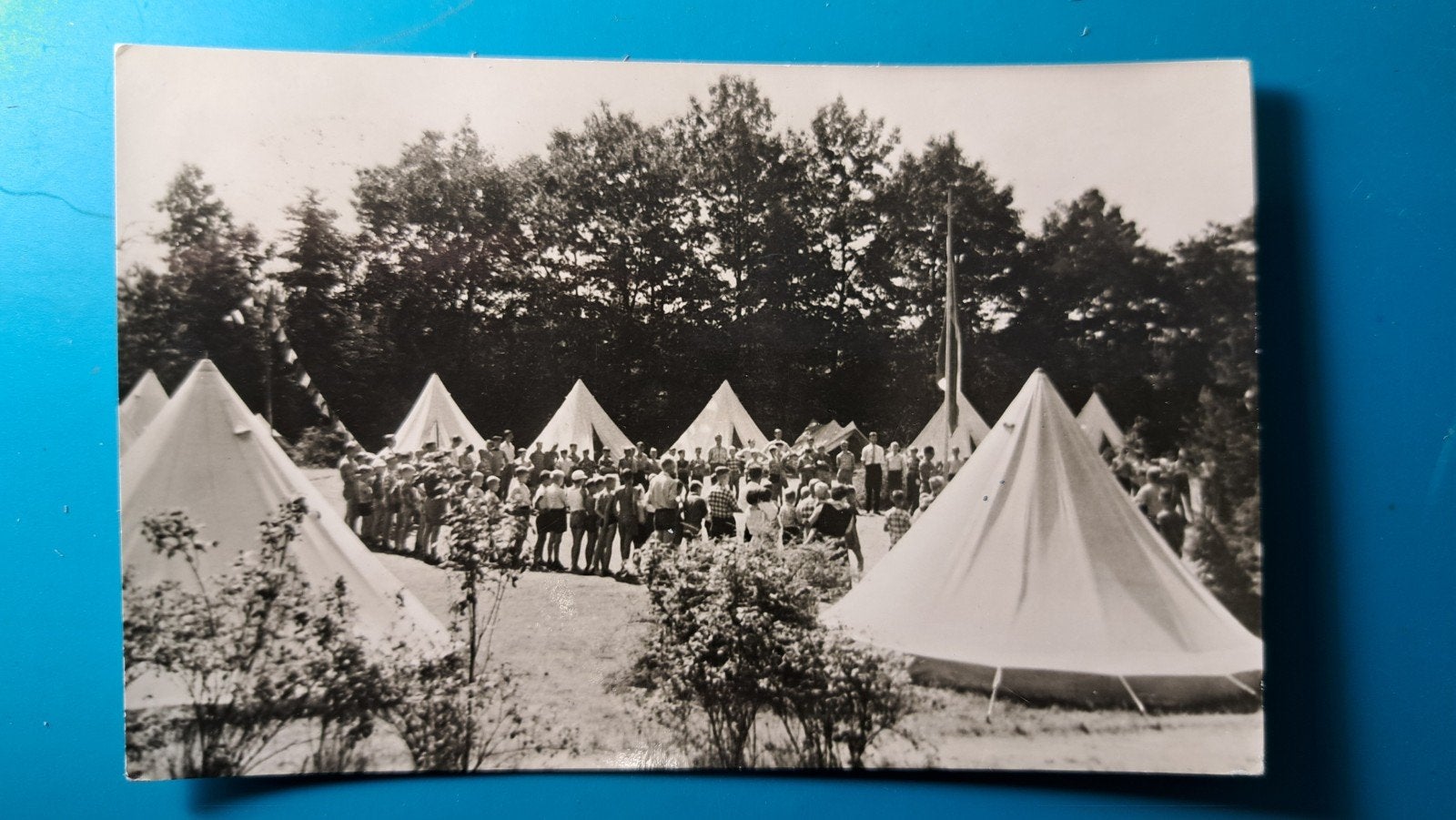 Bosschenhoofd Kampeerweide De Wildert 1960, Ophalen of Verzenden, 1940 tot 1960, Gelopen, Noord-Brabant