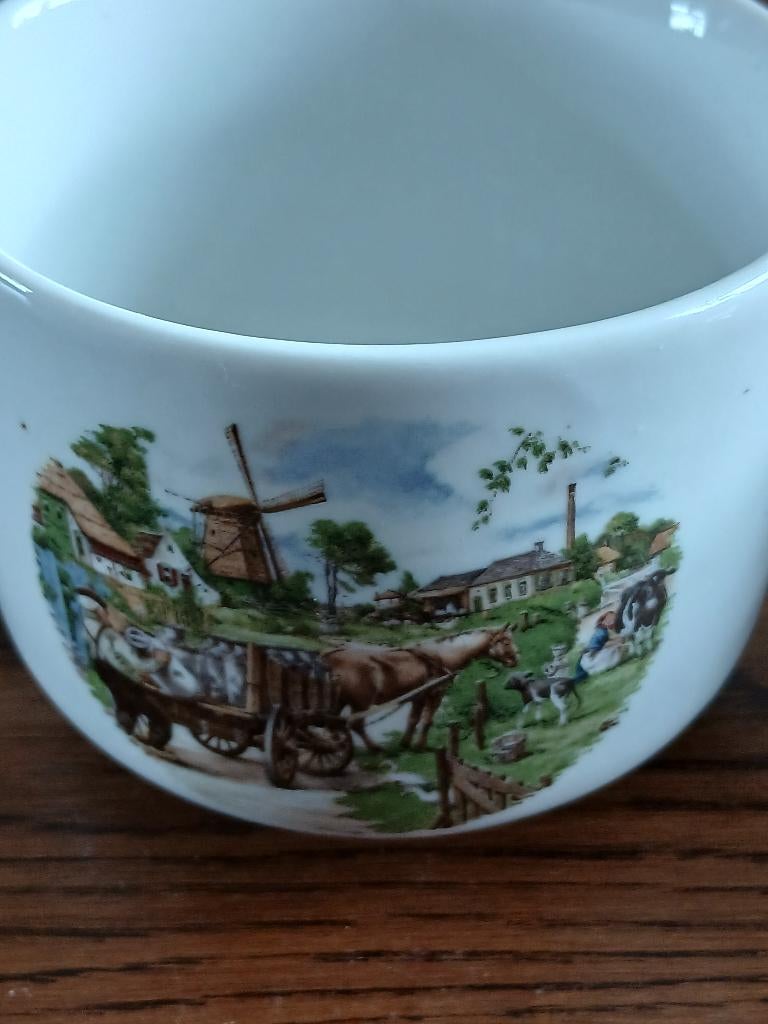 2 soepkommen royal schwabap, Ophalen of Verzenden