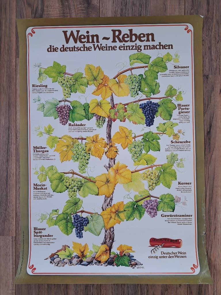 Wein reben poster, Rechthoekig Staand, Deurposter of groter, Ophalen of Verzenden, Zo goed als nieuw