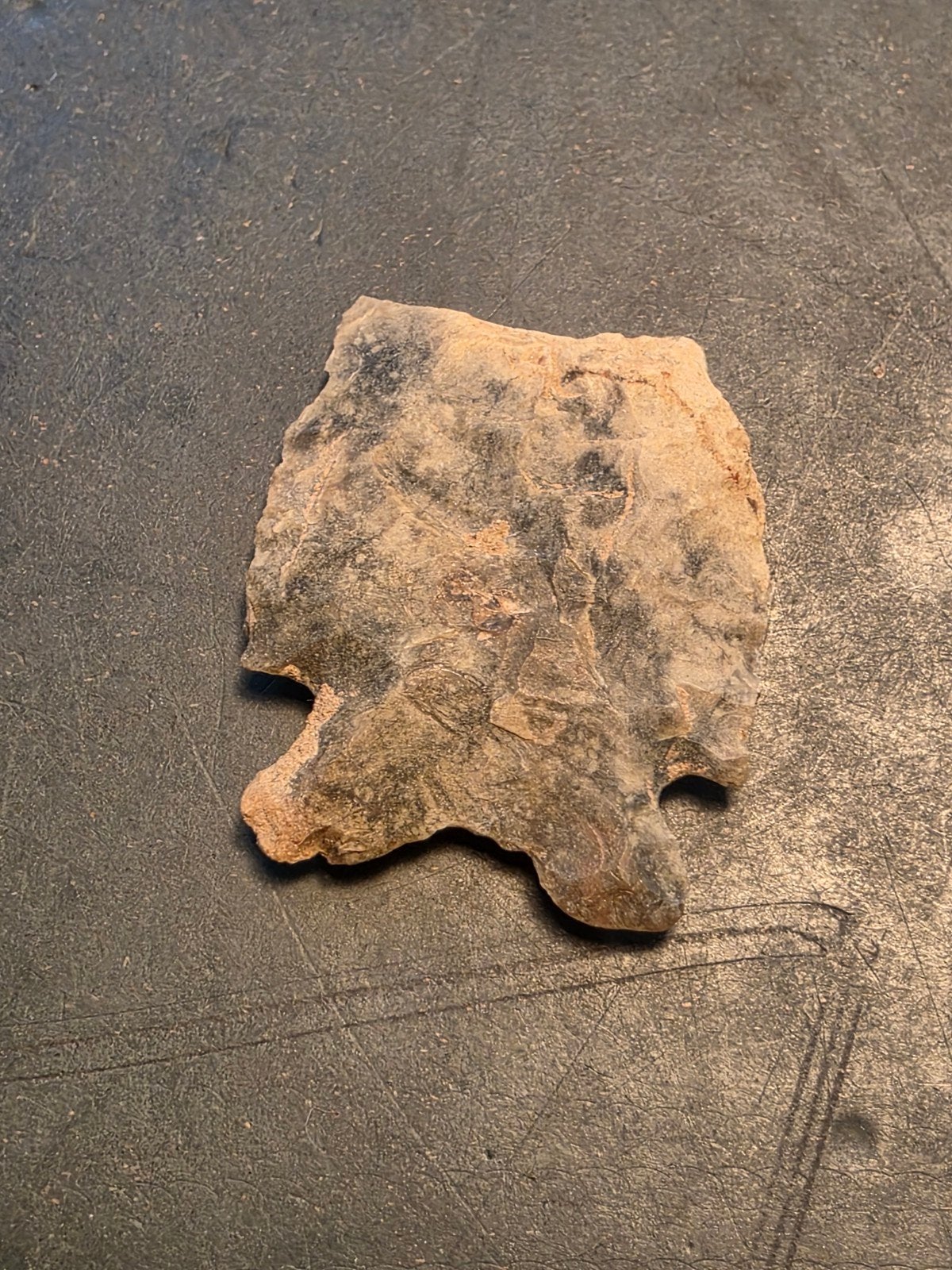 Prehistorische Speerpunt - Oude Verzameling, Verzamelen, Ophalen of Verzenden, Gebruikt