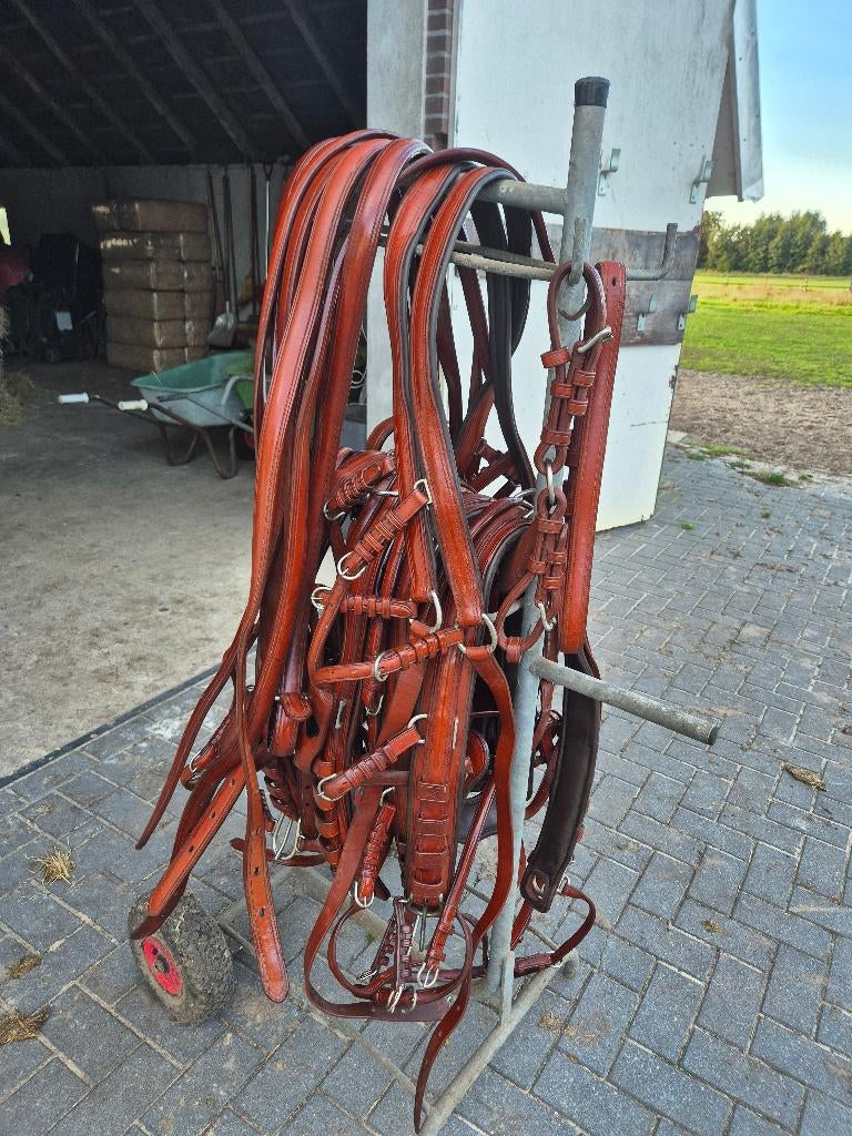 Vierspan mentuig bruin full, Dieren en Toebehoren, Ophalen, Zo goed als nieuw, Overige soorten