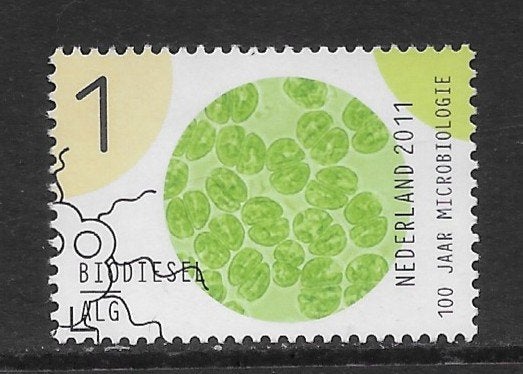 2011, Microbiologie, Biodiesel [2839] (K1513), Ophalen of Verzenden