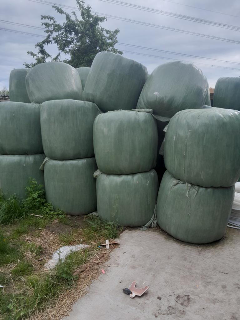 Grasbalen / Kuilbalen te koop, Ophalen of Verzenden
