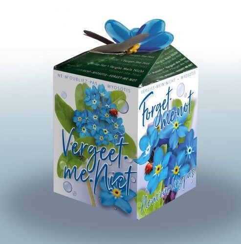 Vergeet-me-nietje Kweekset  green gift, Ophalen of Verzenden, Gehele jaar, Halfschaduw, Zaad