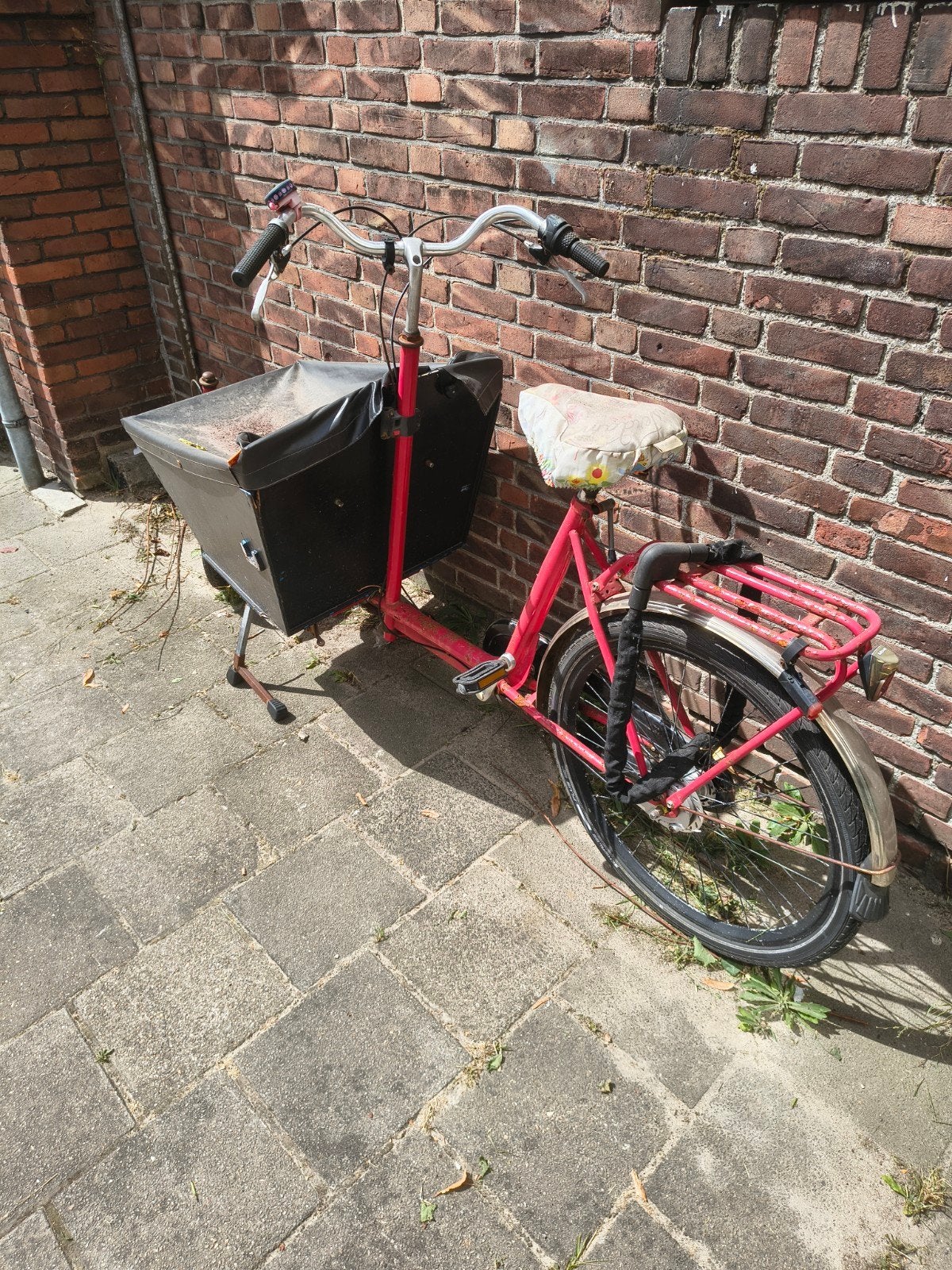 BAKFIETS VOOR KIND OF HOND, Ophalen, Gebruikt, 1 kind