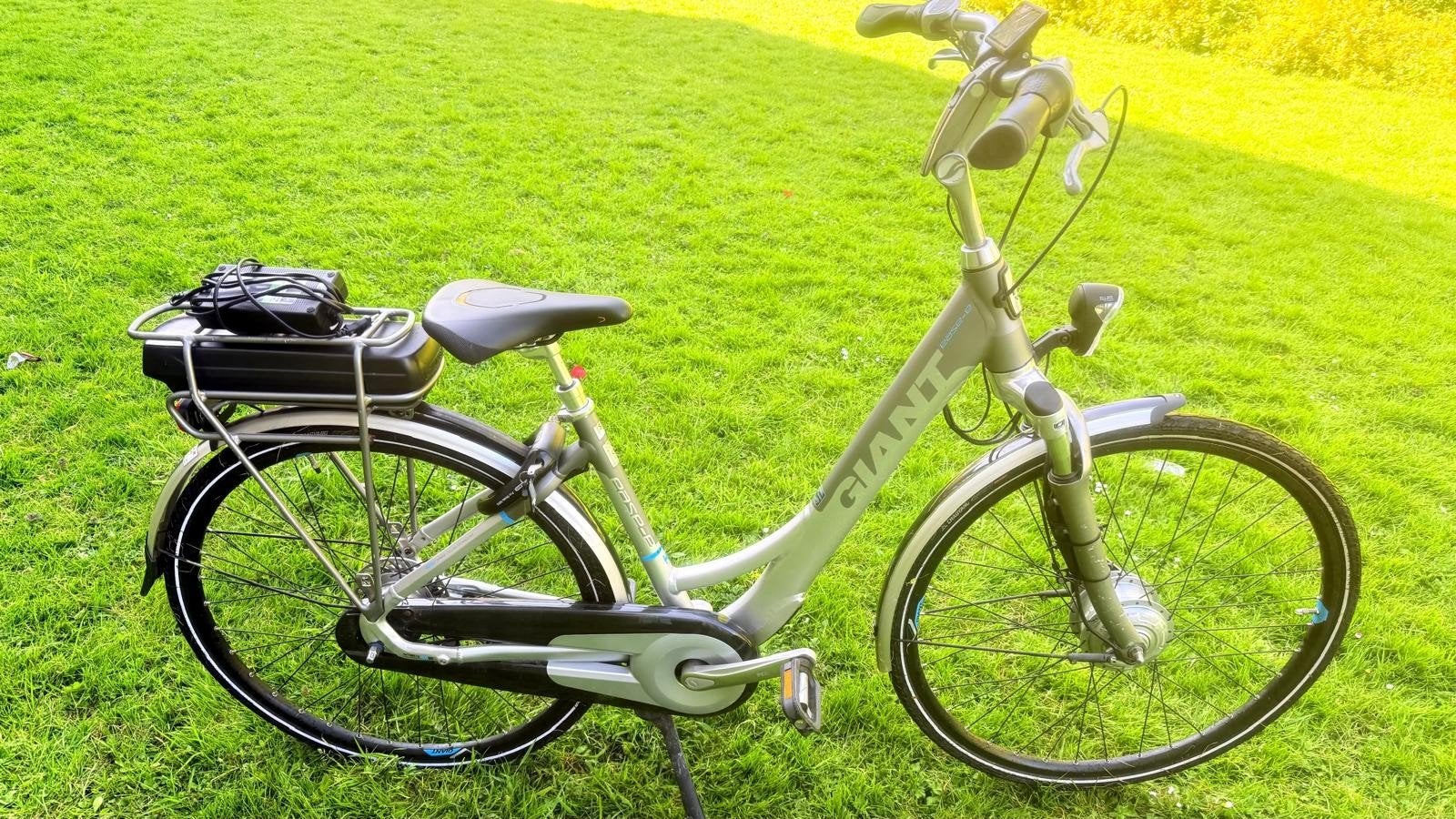 Goede nette Elektrische fiets Giant Ease 47cm 8 speed, 47 tot 51 cm, Ophalen, Gebruikt, Overige merken