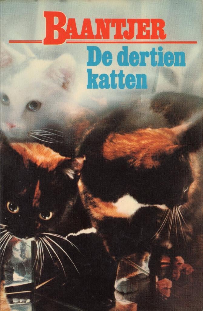 Baantjer De Dertien Katten BOEK 9789026101502, Boeken, Detectives, Ophalen of Verzenden, Zo goed als nieuw, A.C. Baantjer