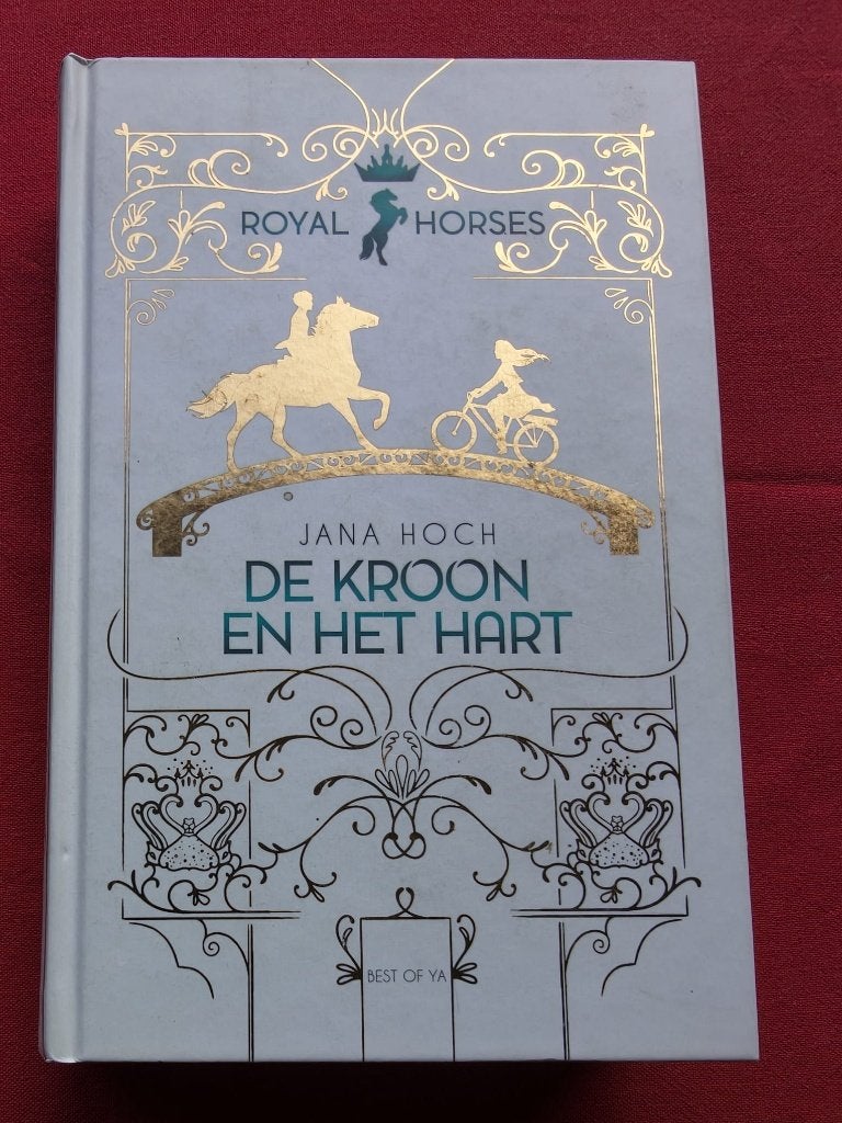 Young adult fantasy boeken diverse, Boeken, Fantasy, Ophalen of Verzenden, Zo goed als nieuw