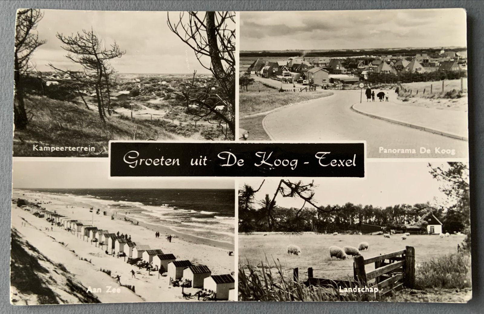 Groeten uit De Koog - Texel, Verzamelen, Verzenden, 1940 tot 1960, Gelopen, Waddeneilanden