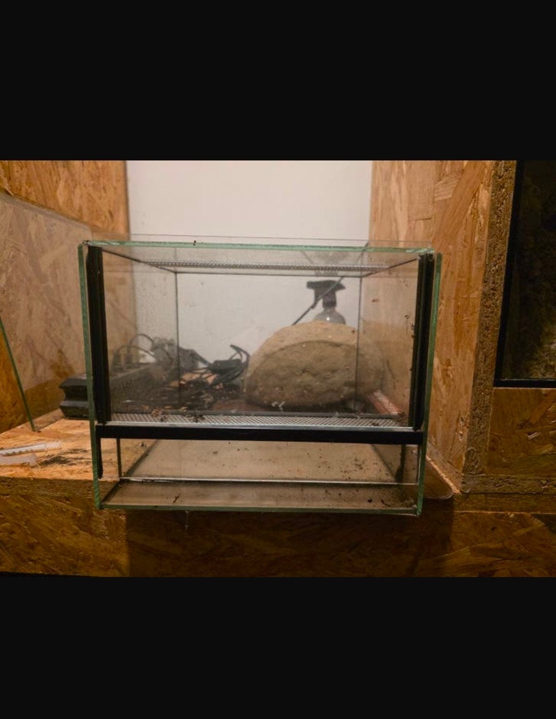 Terrarium 25x25x20, Ophalen