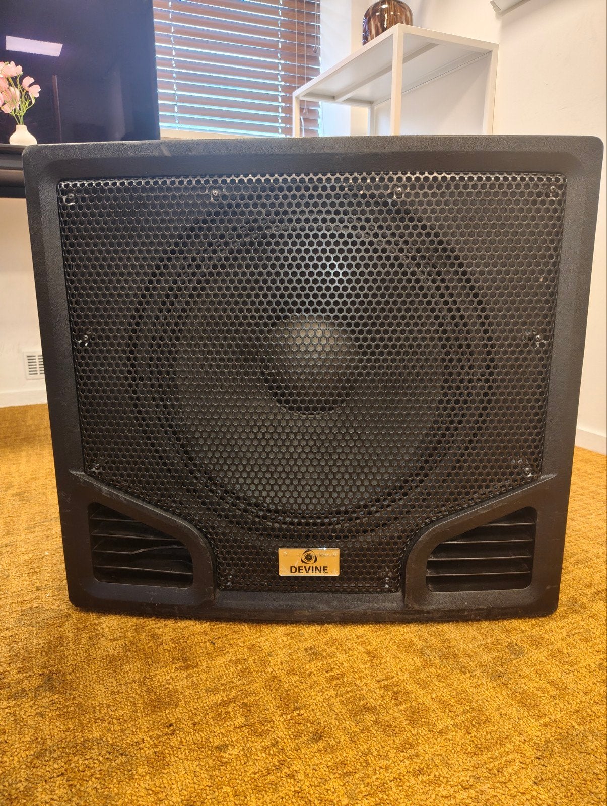 Devine SUB 118A 750W actieve subwoofer, Audio, Tv en Foto, Gebruikt, Subwoofer, Ophalen, 150 watt of meer