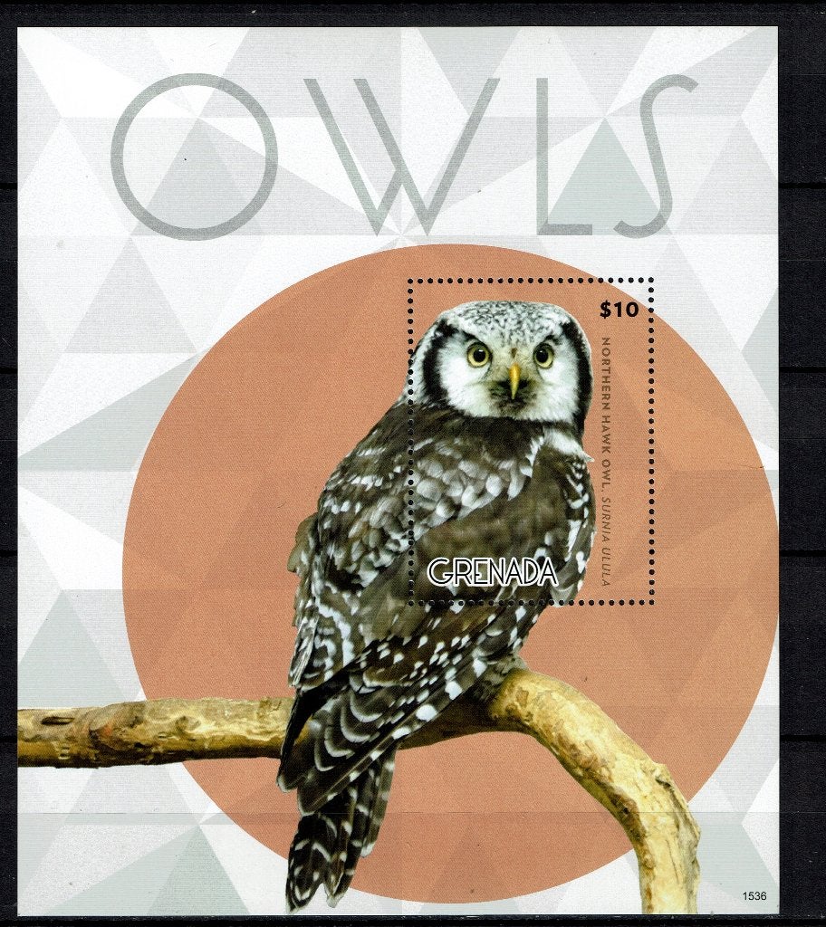 GRENADA 2015 PF BLOK UILEN OWLS VOGELS BIRDS 4, Ophalen of Verzenden, Postfris, Dier of Natuur