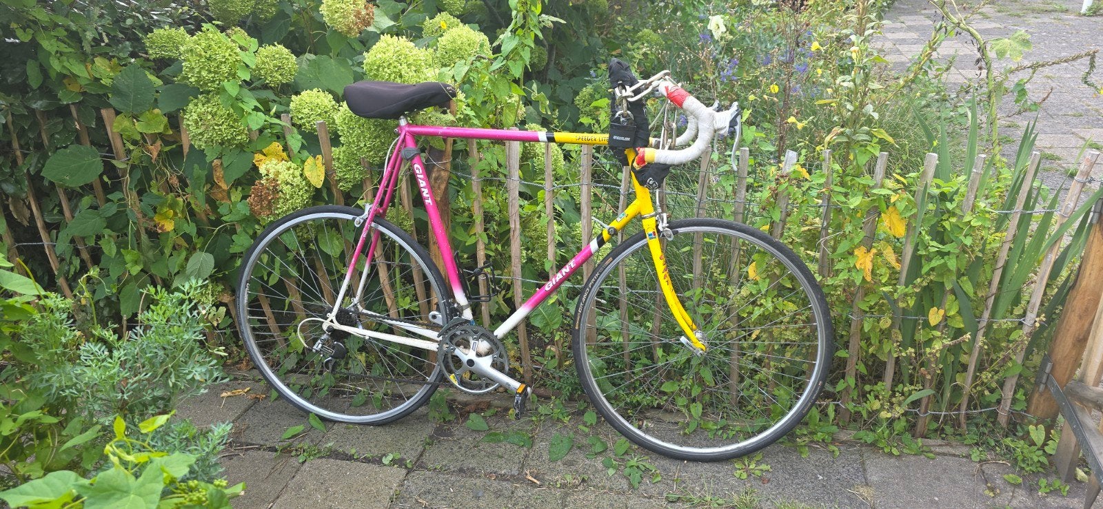 Retro Giant Giro racefiets - 66cm kader, 65 cm of meer, Ophalen, Gebruikt, Giant