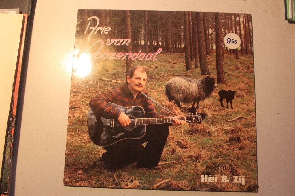 501m - lp - arie van roozendaal - hei & zij, Ophalen of Verzenden, 12 inch