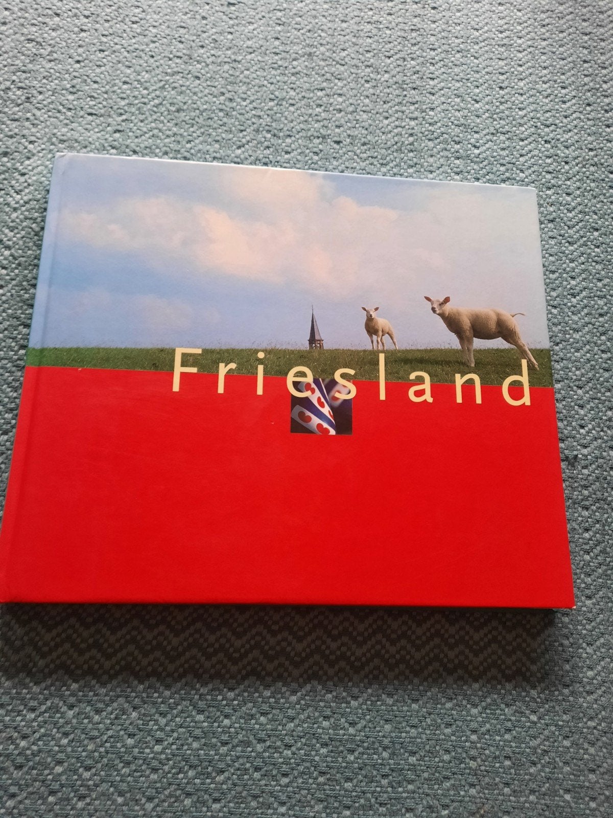 Mooi hardcover kleurenfotoboek Friesland - 142 blz. - nieuws, Overige merken, Ophalen of Verzenden, Zo goed als nieuw, Reisgids of -boek