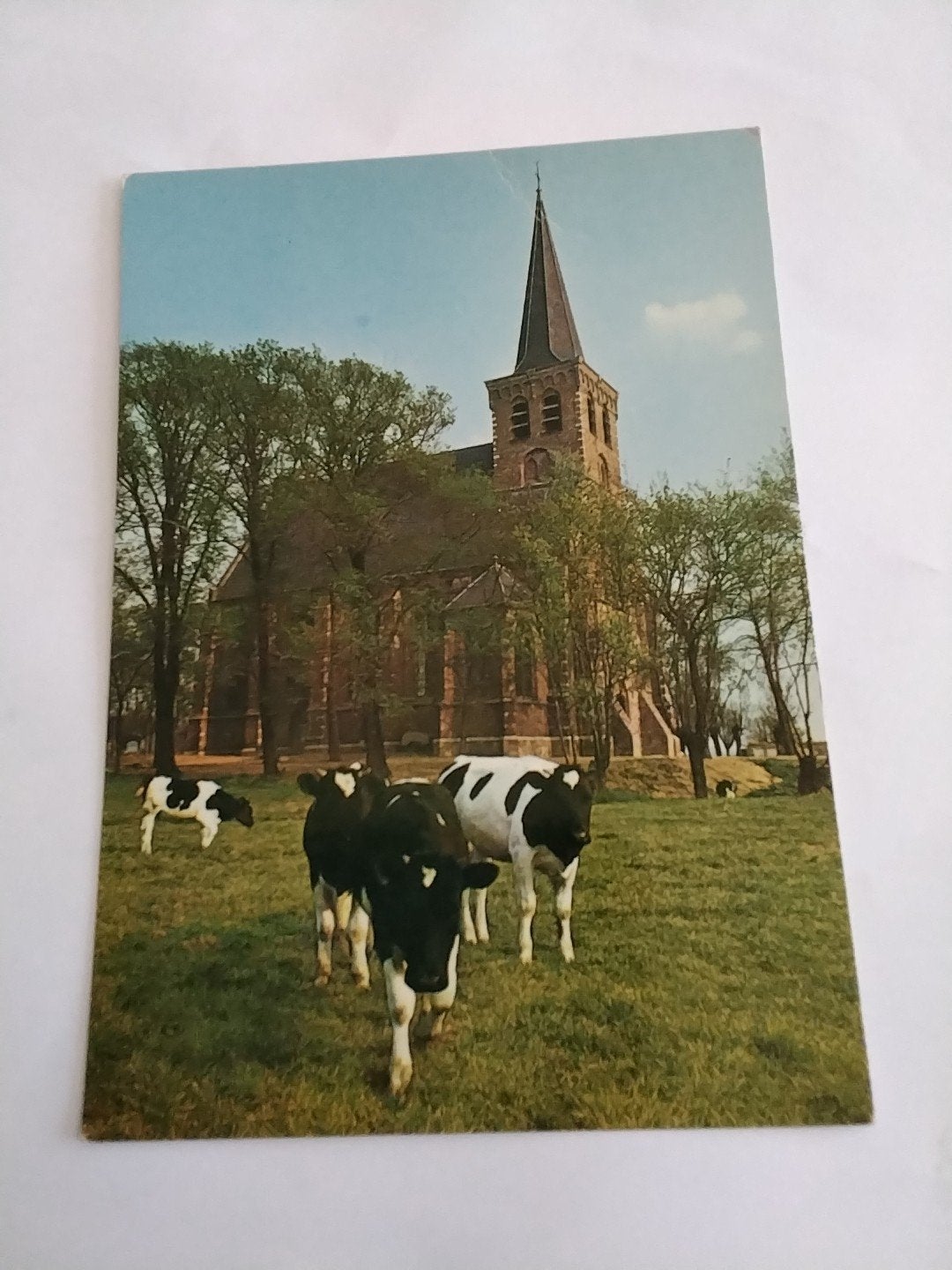 Ansichtkaart Ned. Hervormde Kerk 't Woud met koeien, Ophalen of Verzenden, 1960 tot 1980, Ongelopen