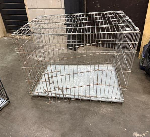 Bench te koop, Ophalen, Gebruikt