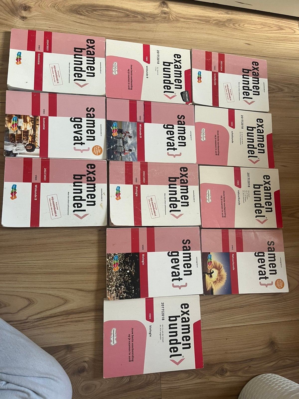 VWO examenbundels + samengevat, Boeken, Schoolboeken, Ophalen, Zo goed als nieuw, VWO, Overige vakken
