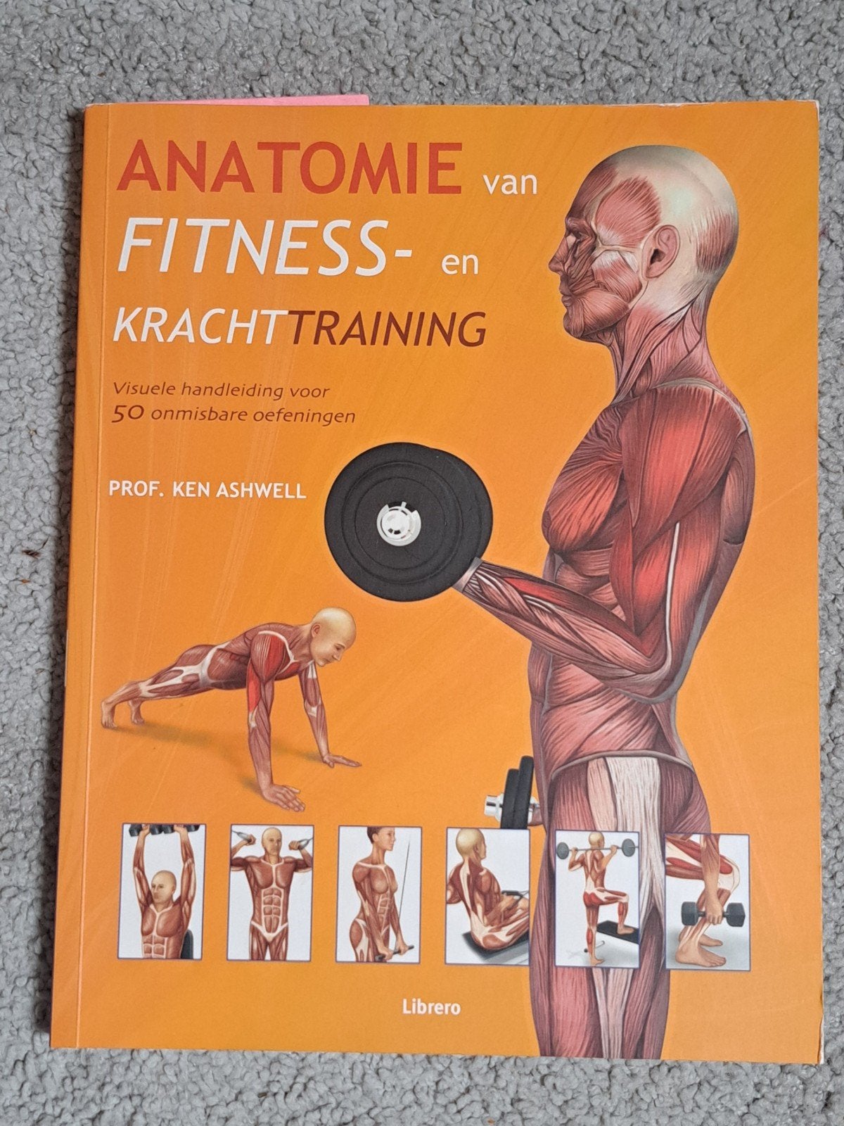 Anatomie van Fitness- en Krachttraining - Ken Ashwell, Verzenden, Zo goed als nieuw, Ken Ashwell
