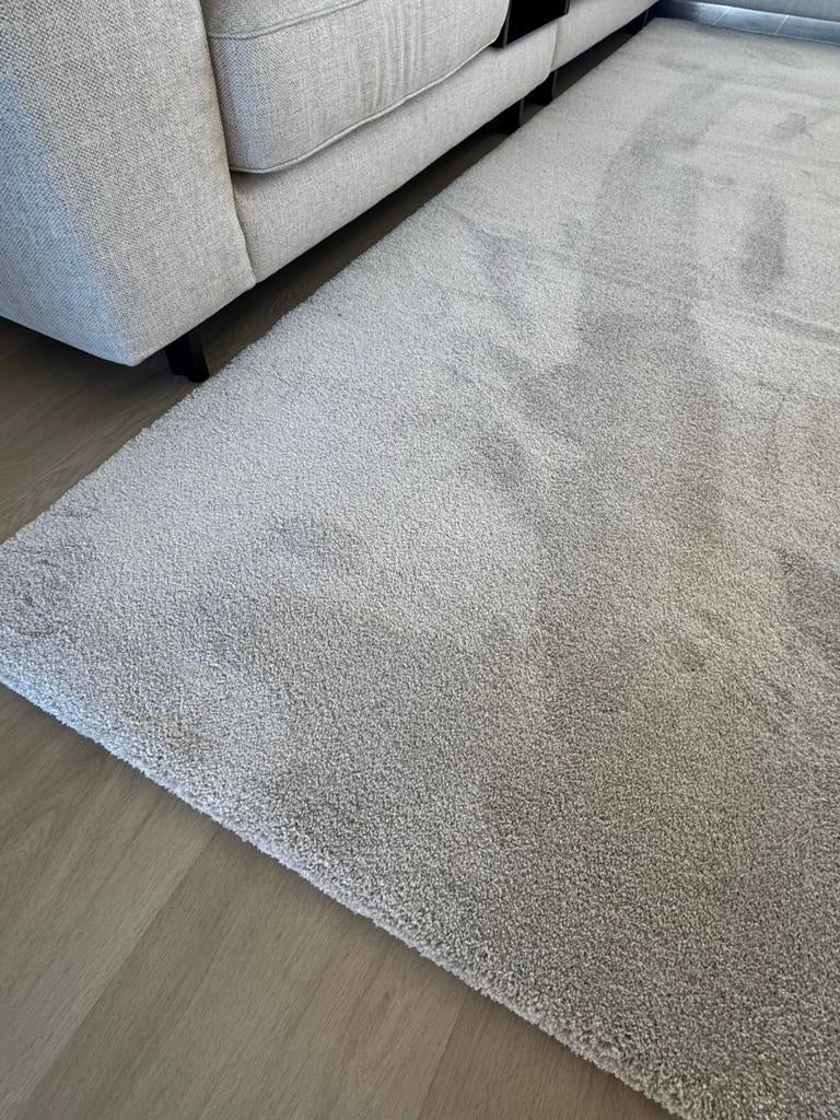 Greige Vloerkleed - 310 x 210 cm, Beige, Nieuw, Ophalen of Verzenden, 200 cm of meer