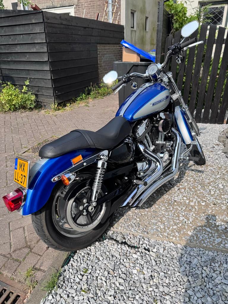 Harley-Davidson Sportster 1200 Custom - Blauw/Zilver, Motoren, Motoren | Harley-Davidson, 2 cilinders, Sportuitlaat, Occasion