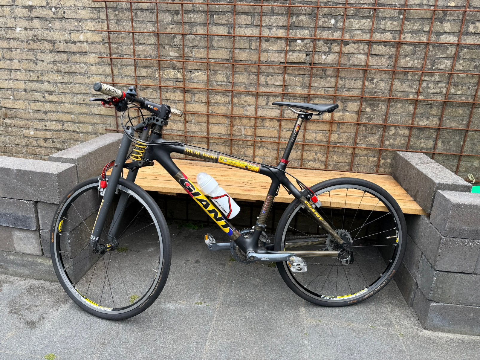 Carbon giant mcm team noleen xtc, Aluminium, Ophalen of Verzenden, Zo goed als nieuw, 47 tot 51 cm