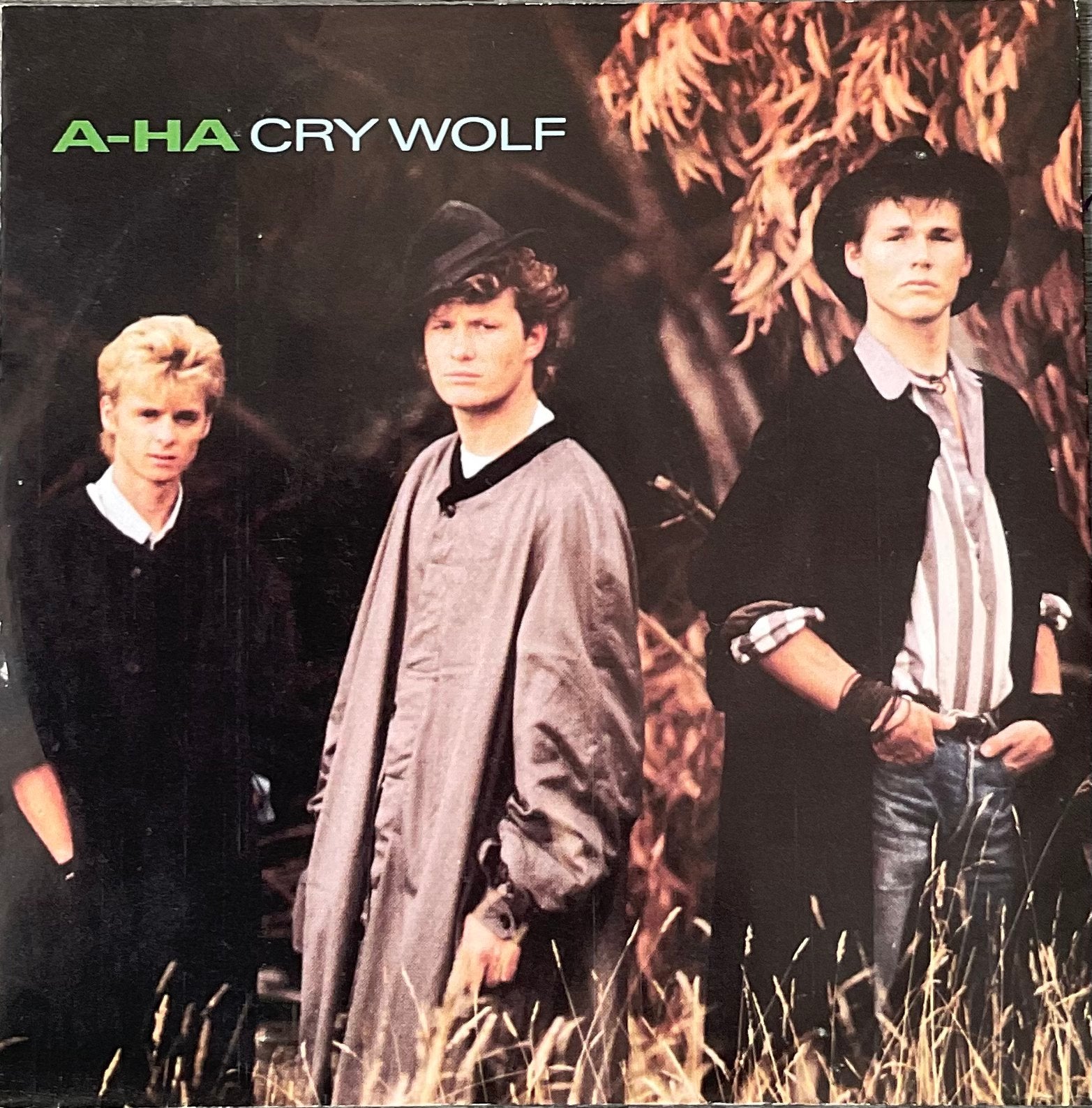 A-ha - Cry wolf (‘86) plaat ALS NIEUW (NL16/UK5/US50), Verzenden, Zo goed als nieuw, 7 inch, Pop