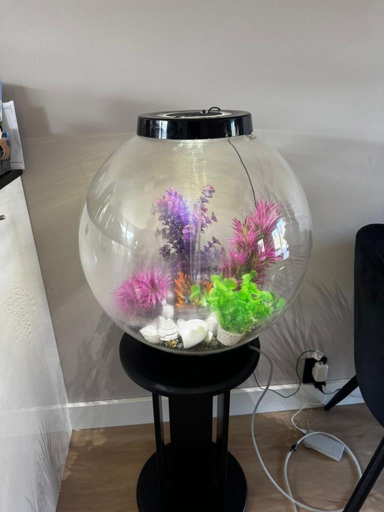 Biorp 60 liter vissenkom, Ophalen, Zo goed als nieuw, Leeg aquarium