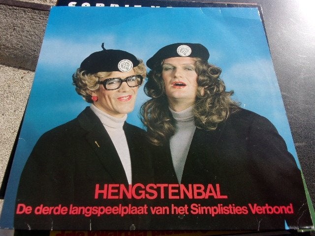 simplisties verbond, Inclusief binnenhoes, Ophalen of Verzenden, Zo goed als nieuw, Overige formaten