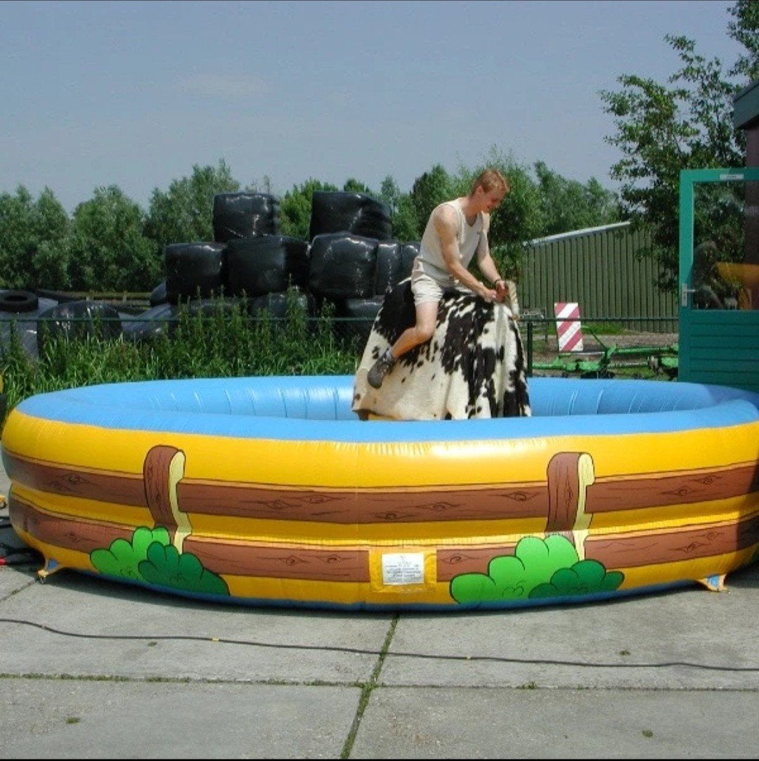 TE HUUR ; Rodeostier, Ophalen of Verzenden, Overige