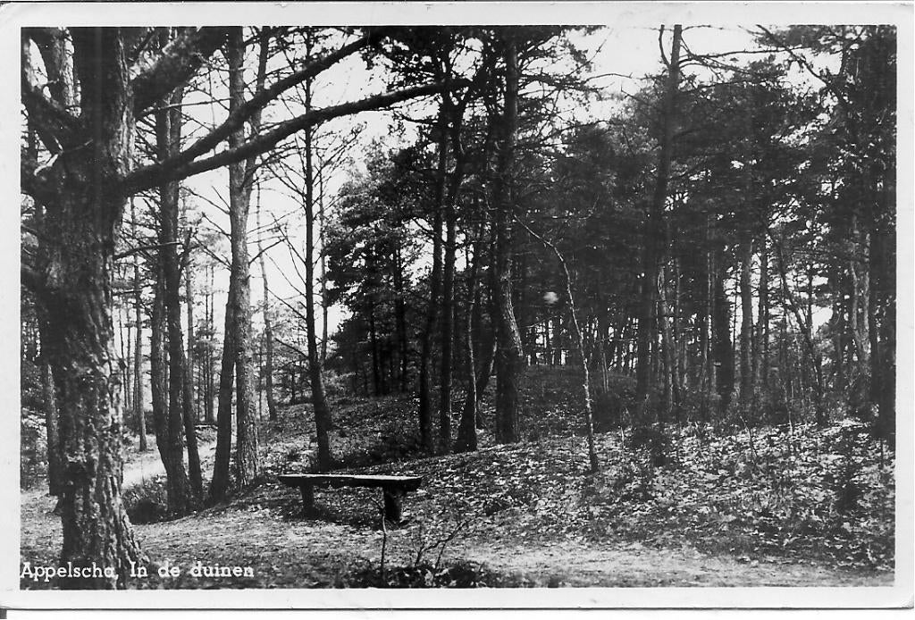 Appelscha In de duinen., Ophalen of Verzenden, 1940 tot 1960, Gelopen, Friesland