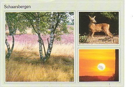 Ansichtkaart 	Schaarsbergen	3-luik, Verzenden, 1980 tot heden, Gelopen, Gelderland