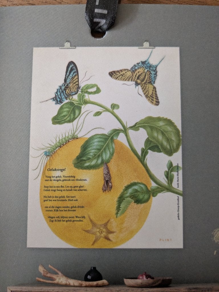 Plint poëzieposter - gedicht 'Geluksvogel' (80x60cm), Ophalen, Rechthoekig Staand, Nieuw, A1 t/m A3