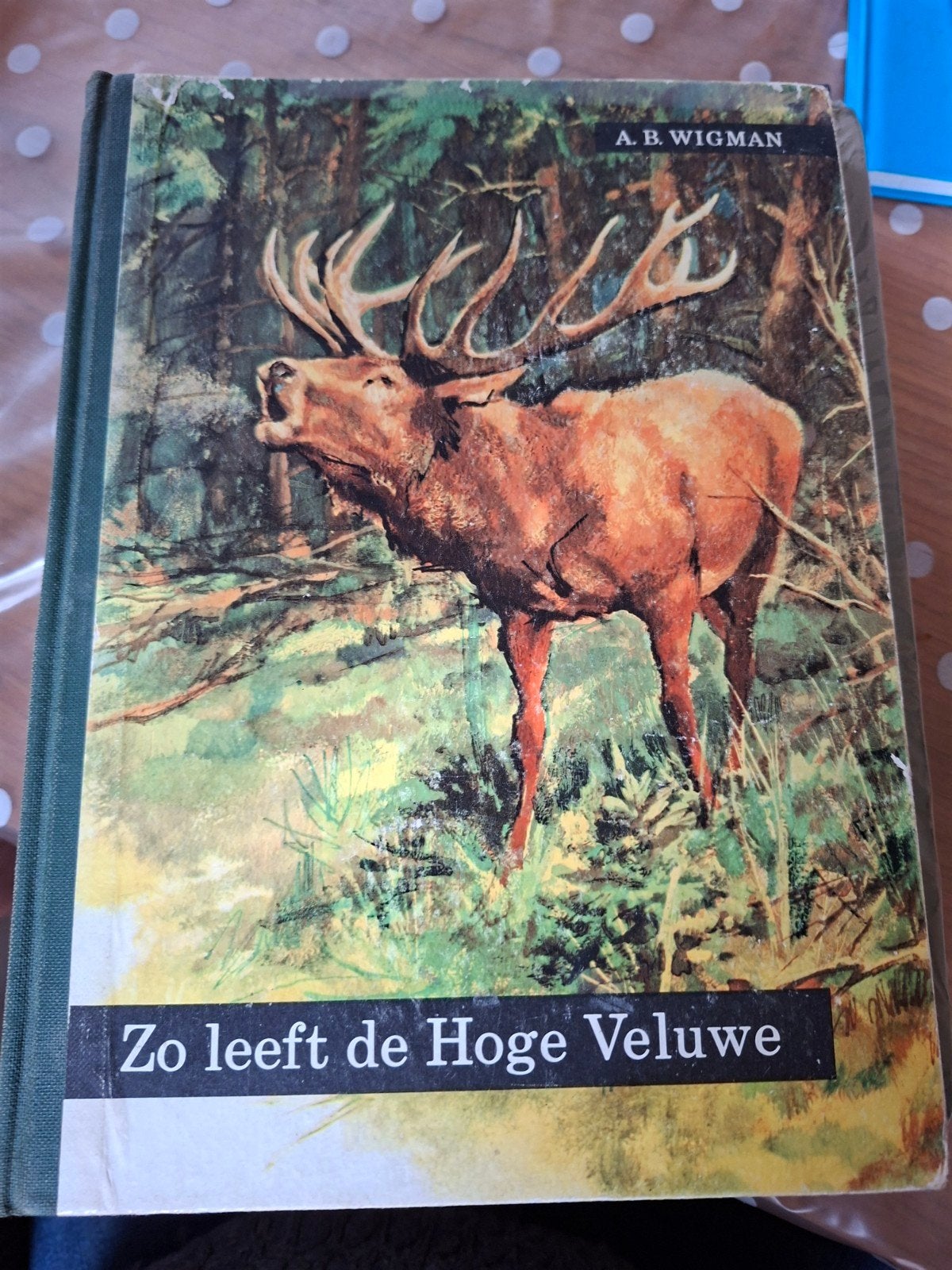 Mooie boeken: sportvisserij, Hoge Veluwe, Zwerftochten, Boeken, Ophalen of Verzenden