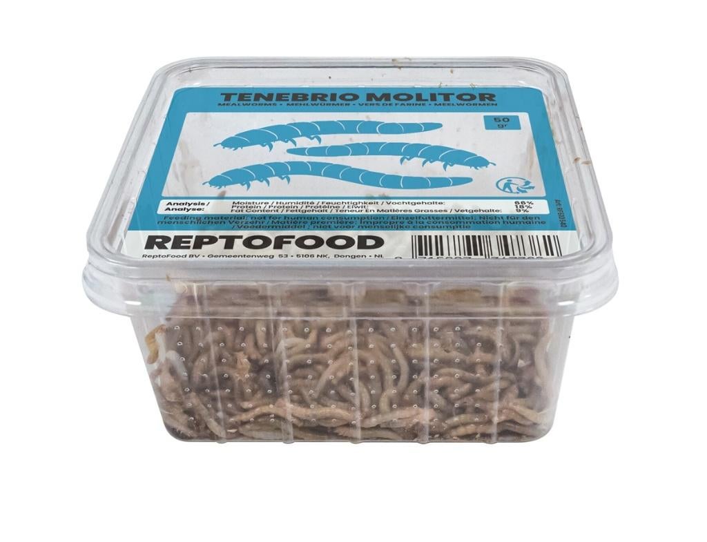 Verse voerinsecten!, Nieuw, Info@aquadistri, Eten en Drinken, Aquadistri