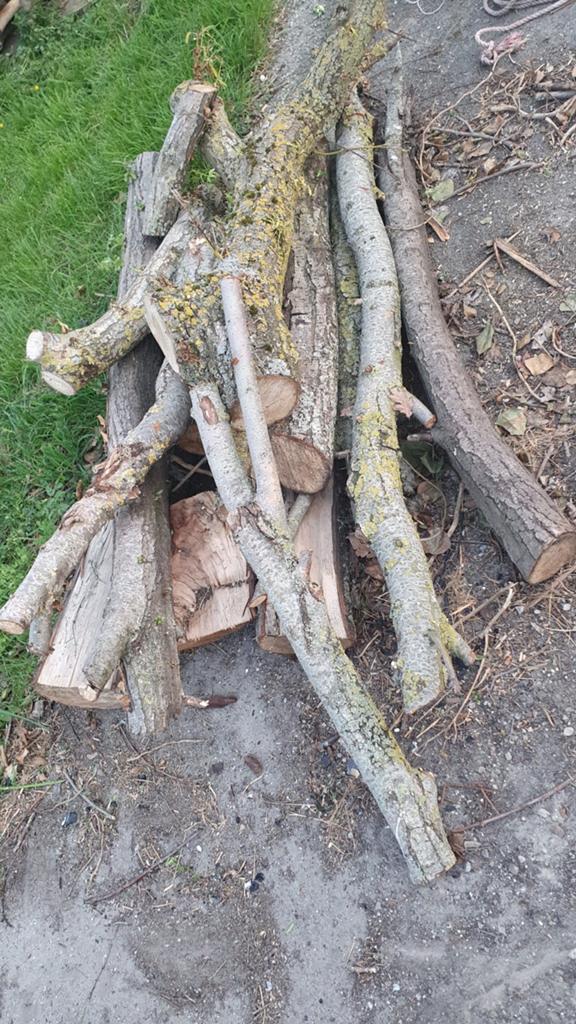 Kachelhout stammen blokken wilgen, Tuin en Terras, Haardhout, Minder dan 3 m³, Ophalen of Verzenden