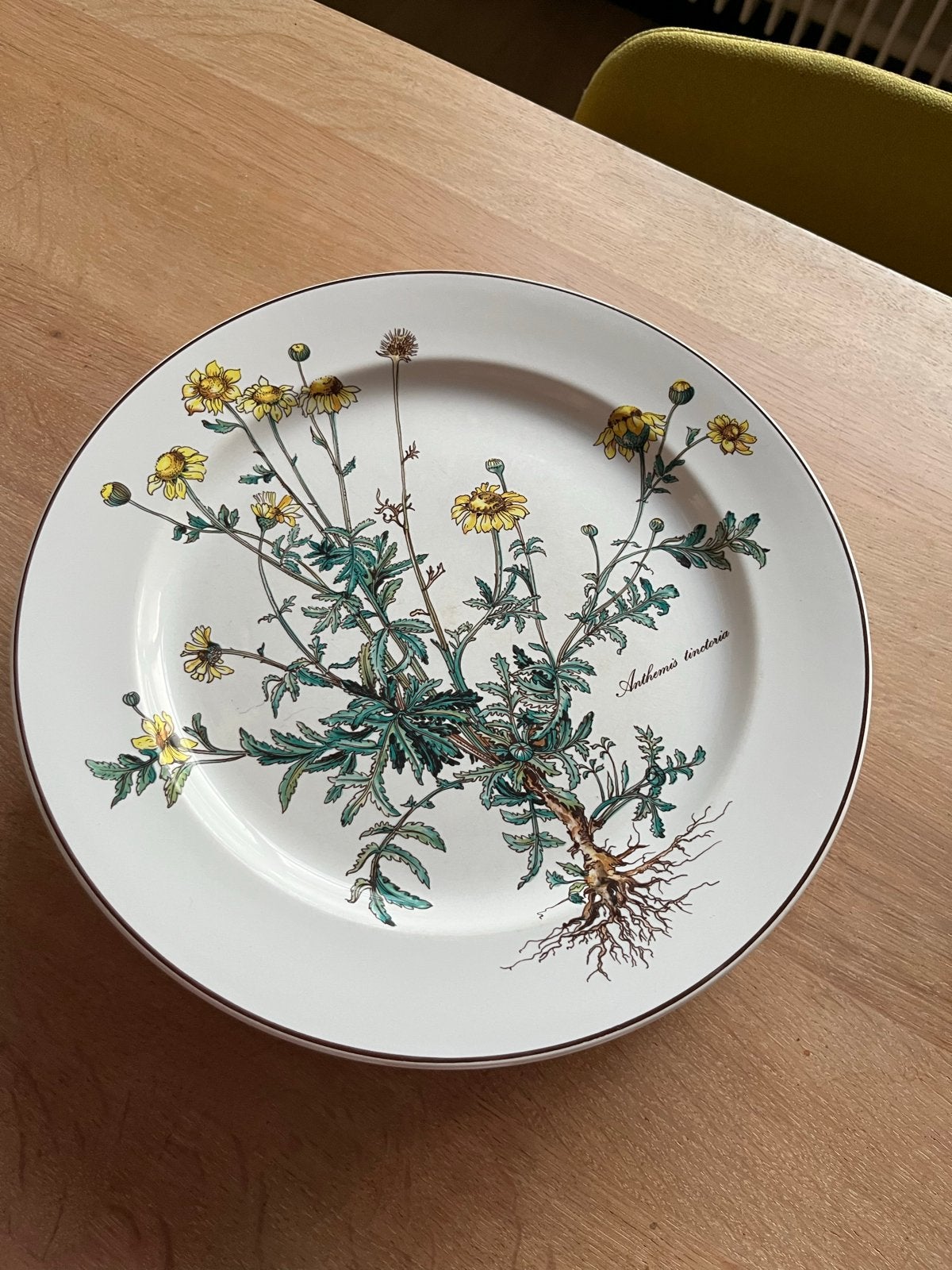 Villeroy & Boch Botanica bord - Anthemis tinctoria 23,5 cm, Ophalen, Klassiek, Villeroy & Boch, Zo goed als nieuw