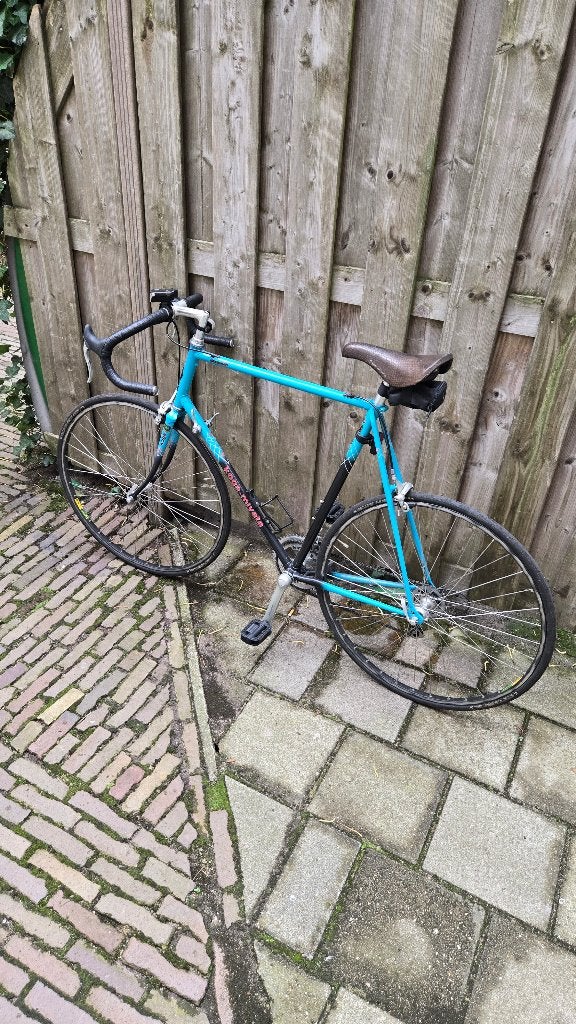 Koga Miyata Exerciser - 60cm frame, Ophalen, Gebruikt, Heren, 57 tot 61 cm