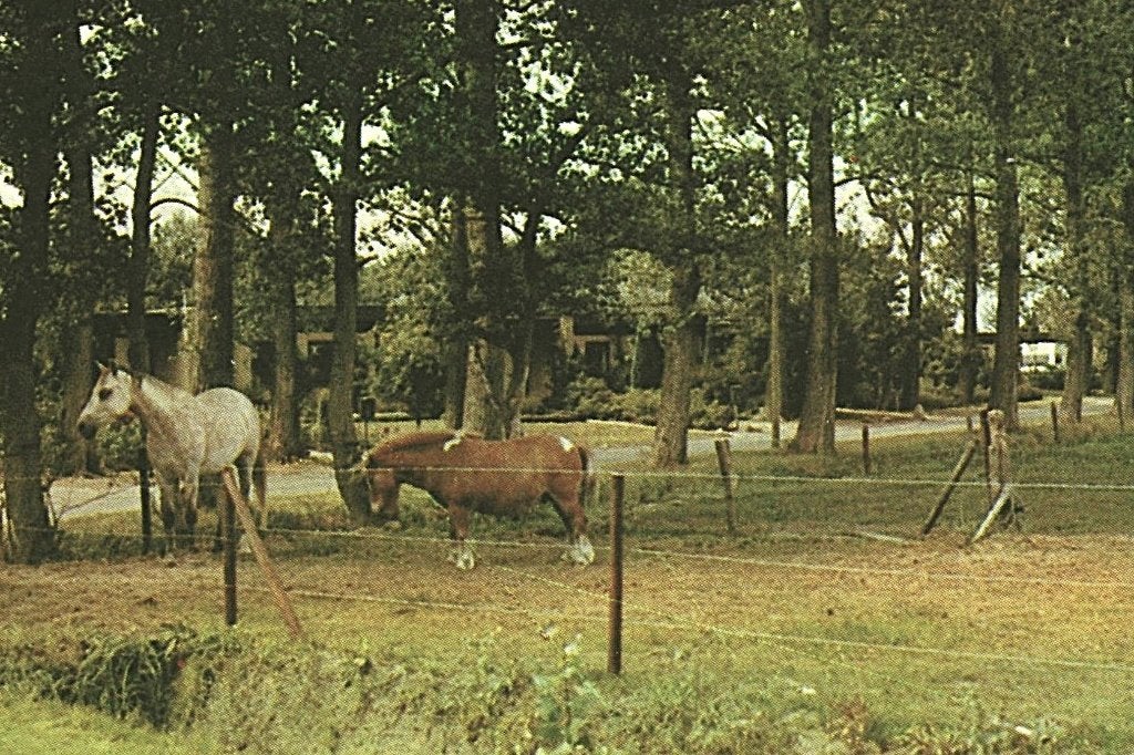 42654 Beilen Drenthe 80+ Gelopen met Postzegel, Verzamelen, Ansichtkaarten | Nederland, Ophalen of Verzenden, 1980 tot heden, Gelopen