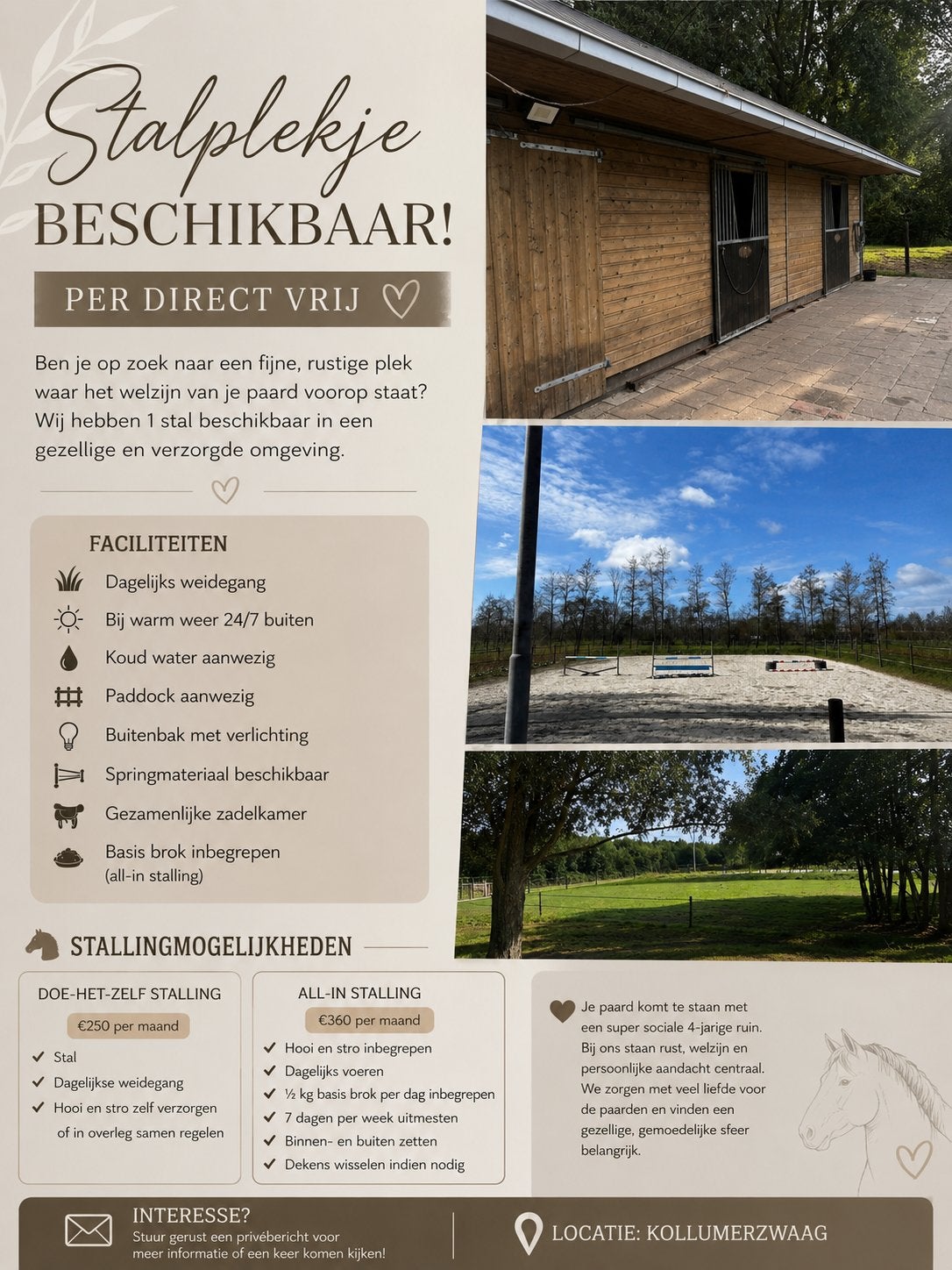 pensionplek beschikbaar, Dieren en Toebehoren, Stalling en Weidegang