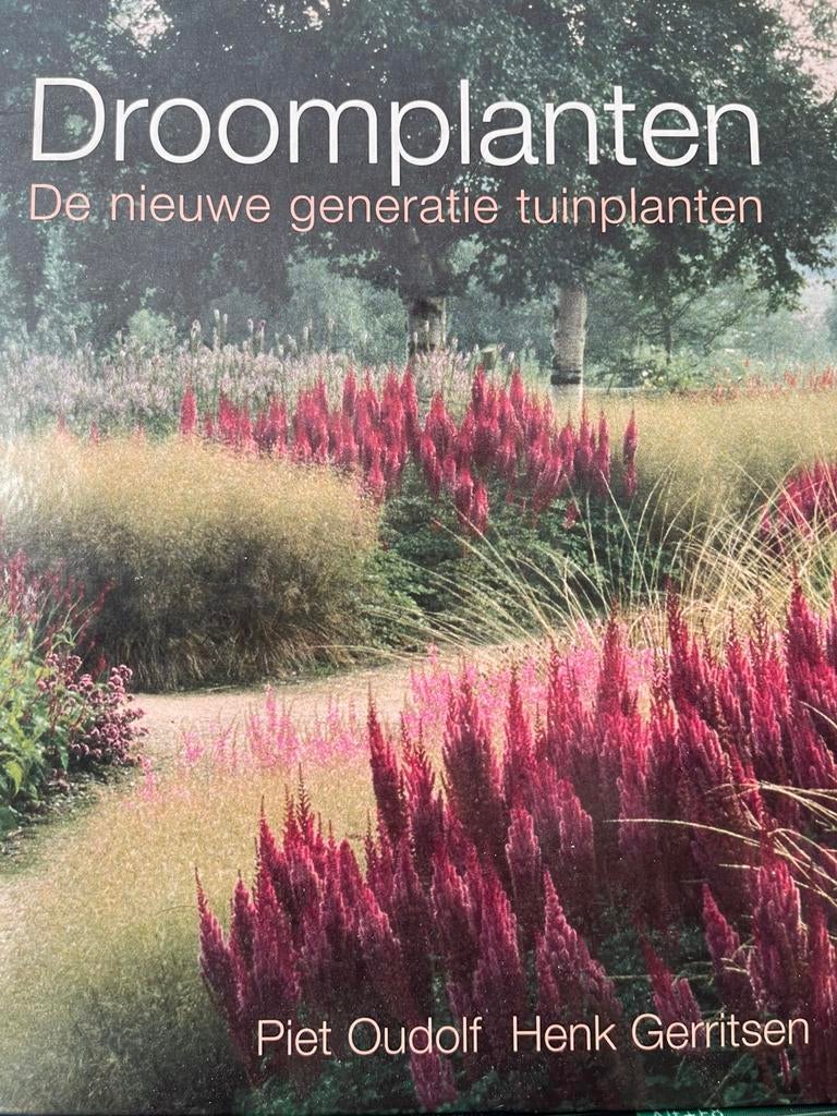 Droomplanten Piet Oudolf, Ophalen of Verzenden, Zo goed als nieuw, Tuinieren en Tuinplanten