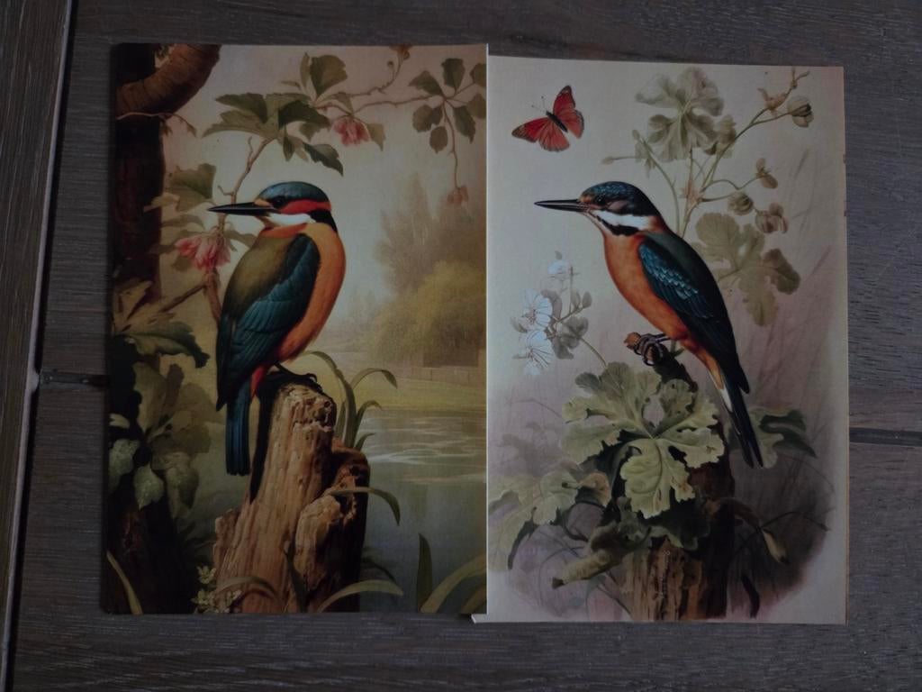 VOGELS 9, Ophalen, 1980 tot heden, Vogel