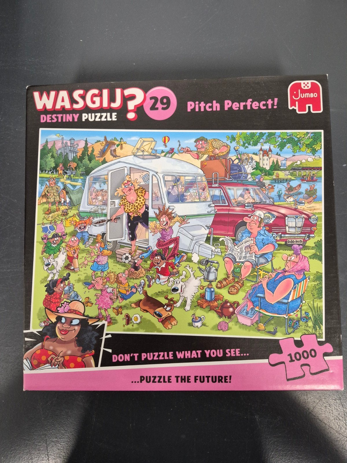 Wasgij? Destiny 29 Pitch Perfect! Legpuzzel 1000 stukjes, Ophalen of Verzenden, 500 t/m 1500 stukjes, Zo goed als nieuw, Legpuzzel