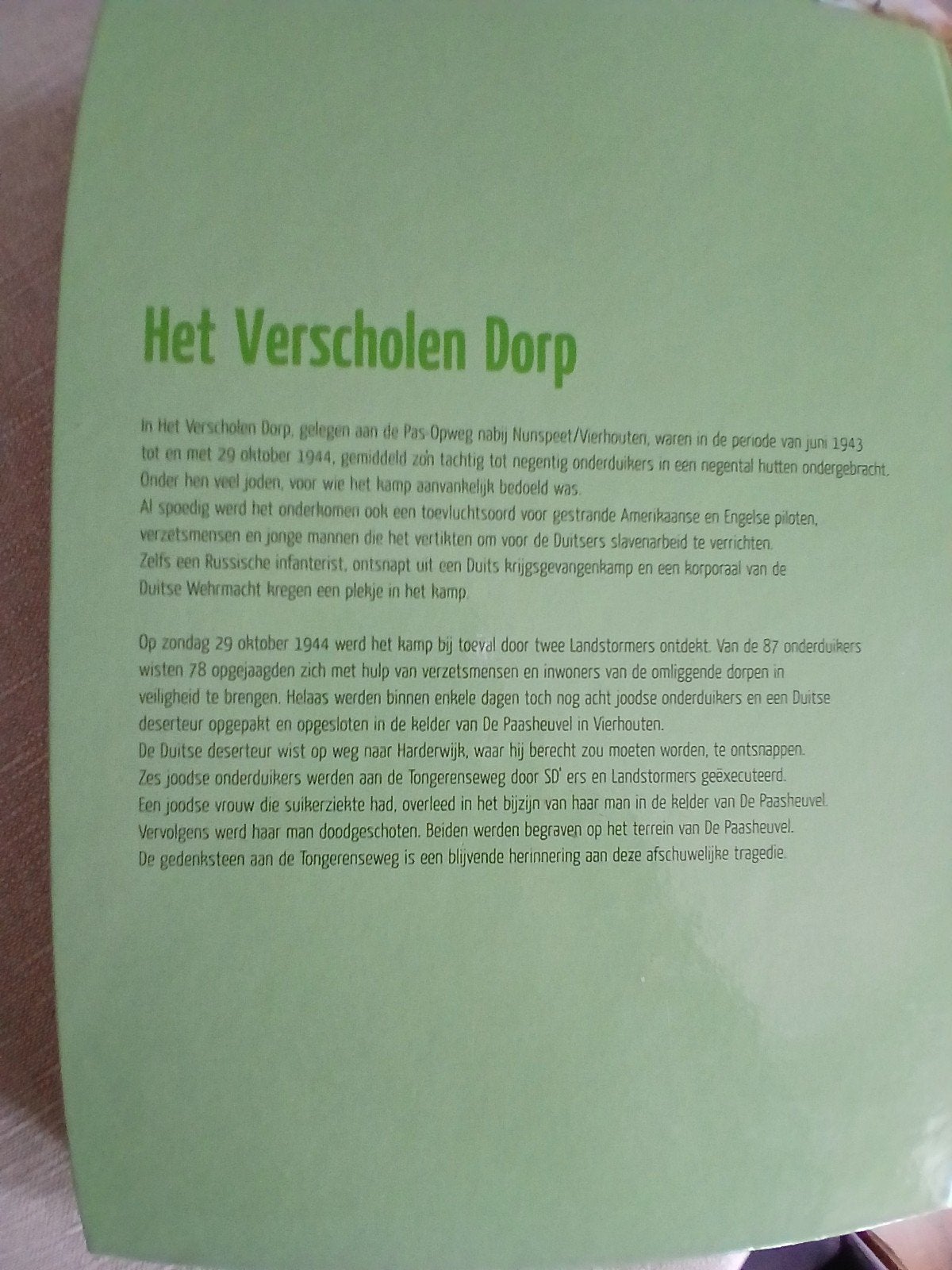 Het Verscholen Dorp - Verzet en onderduikers op de Veluwe, Boeken, Ophalen of Verzenden, 20e eeuw of later, Nieuw, Aart Visser