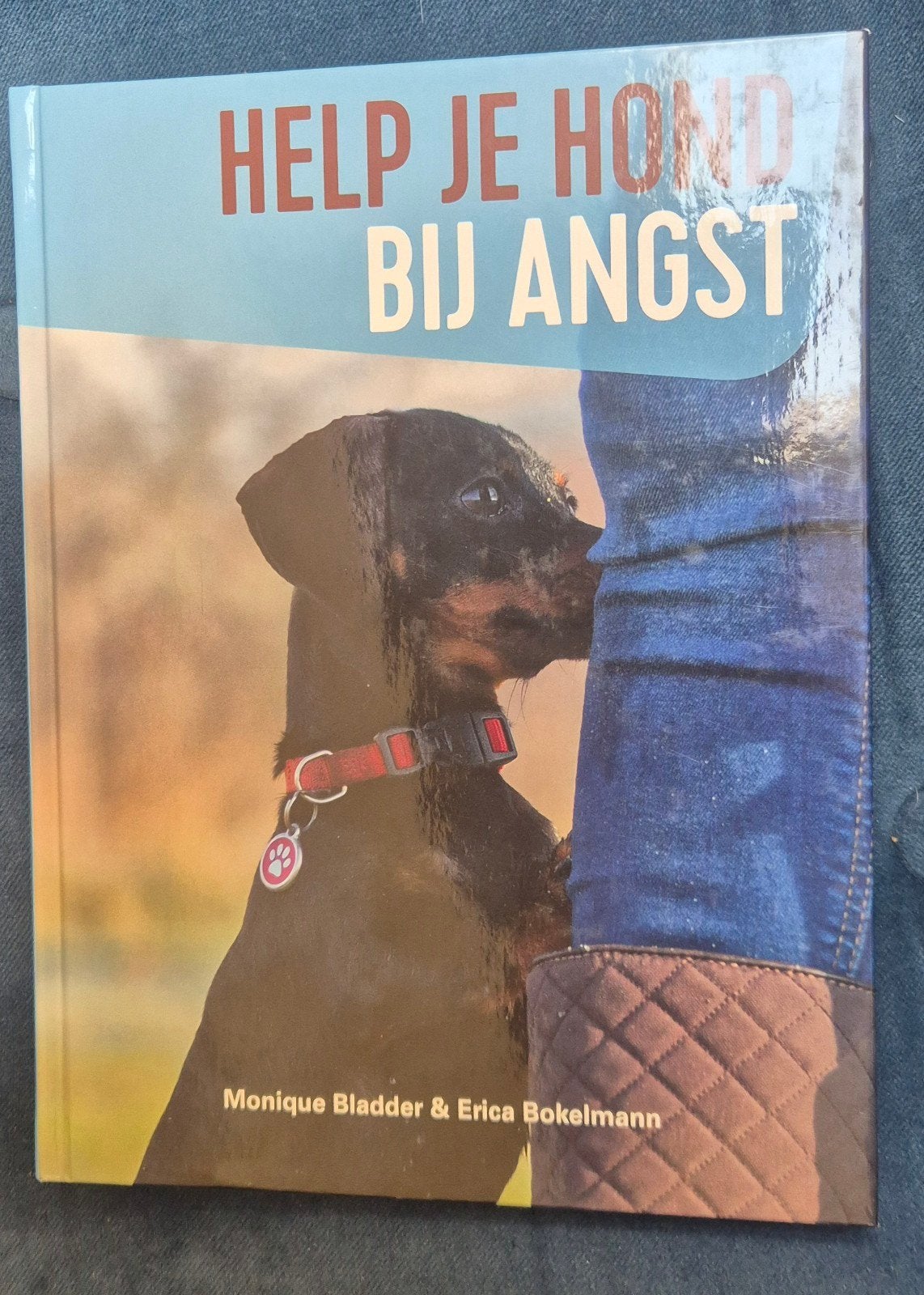 Monique Bladder - Help je hond bij angst, Monique Bladder; Erica Bokelmann, Honden, Ophalen of Verzenden, Zo goed als nieuw