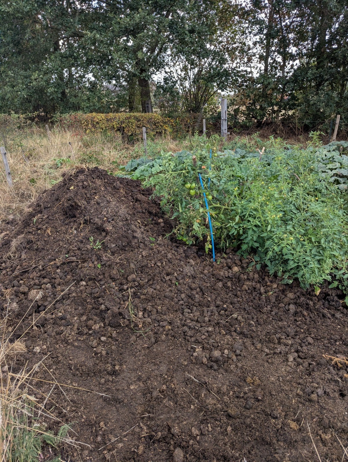 Biologische paardencompost - perfect voor uw tuin!, Ophalen